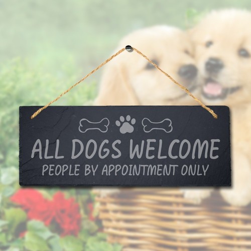 Dog welcome people appointment - people,