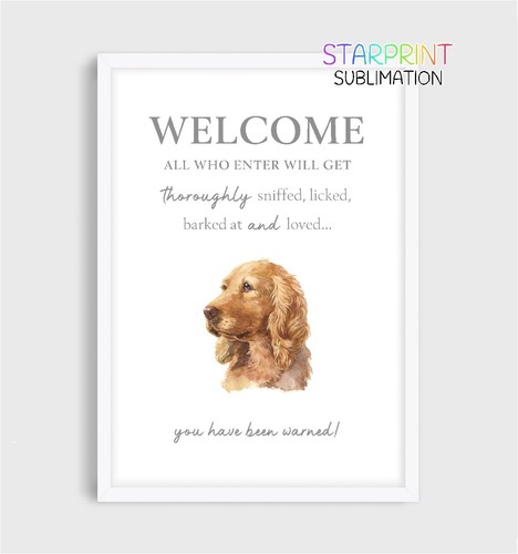 Cocker spaniel - spaniel, (gold)