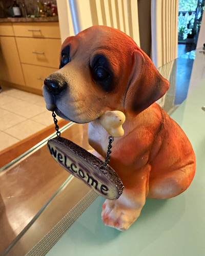 Resin puppy dog - dog, statue
