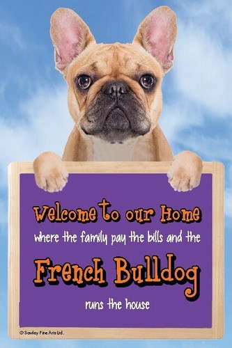 French bulldog welcome our - bulldog,