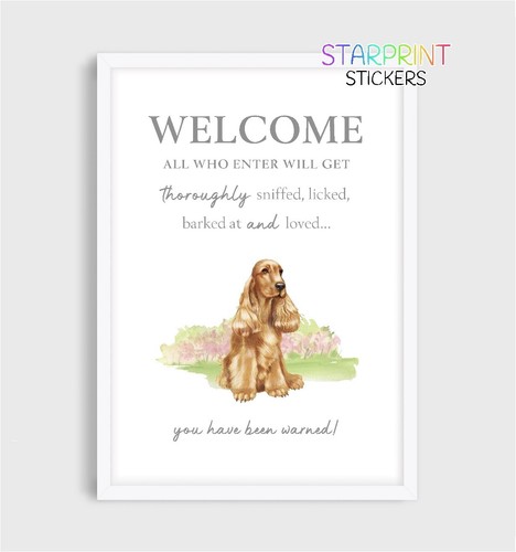 Cocker spaniel - cocker, (gold)