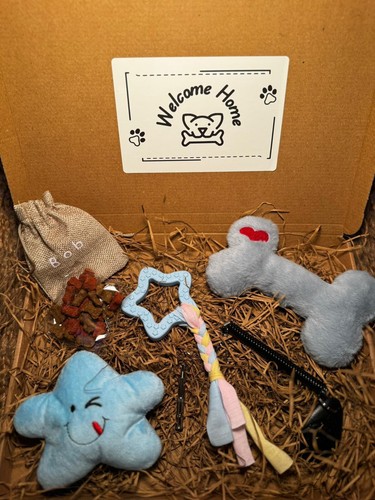 New puppy starter - starter, blue