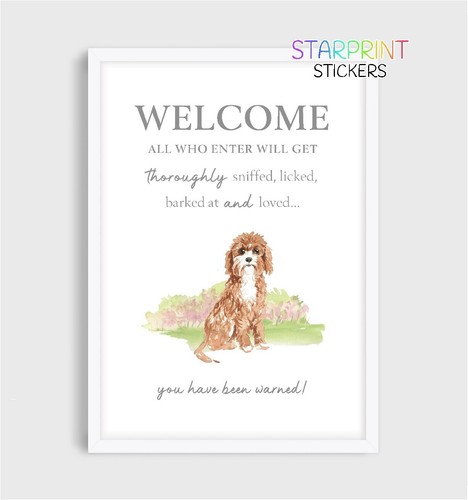 Cavapoo welcome - cavapoo, "welcome"