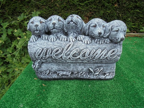 Welcome puppies concrete