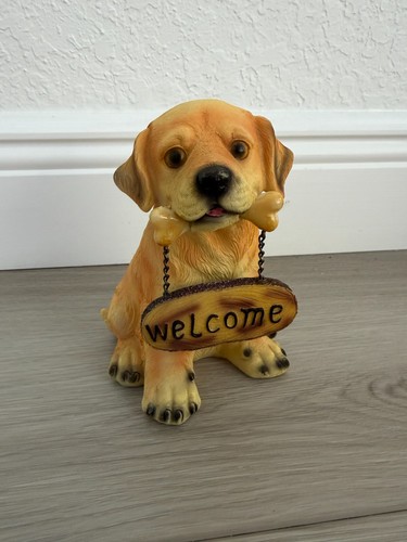 Retriever labrador puppy - retriever,
