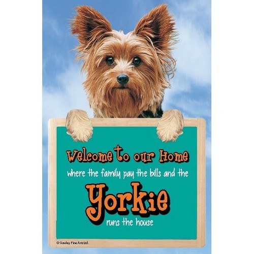 Yorkshire terrier welcome - welcome, to