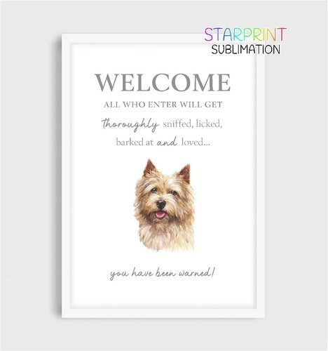 Norwich terrier welcome - norwich,