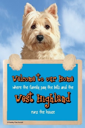 Westie dog welcome our home - westie, to