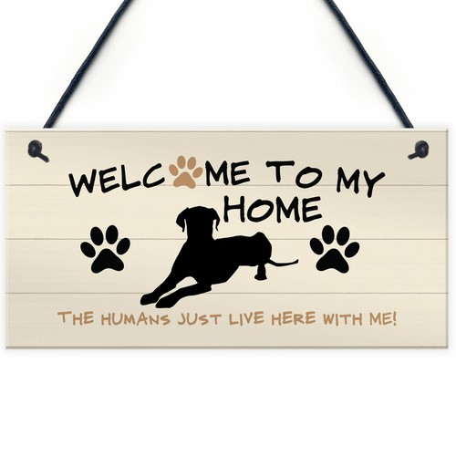 Funny dog sign welcome - dog,