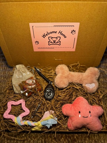 New puppy starter pack pink - puppy,