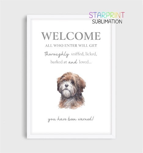 Tibetan terrier welcome - tibetan,