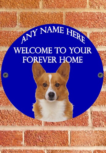 Pnc684 corgi puppy dog - corgi,