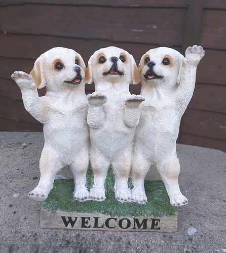 Welcome puppys resin boxed - welcome, puppys,
