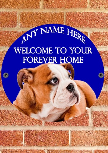 Pnc664 bulldog puppy dog - pnc664,