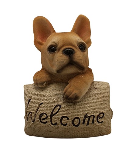 French bulldog puppy - french,