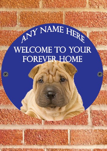 Pnc762 shar pei - pnc762, shar-pei