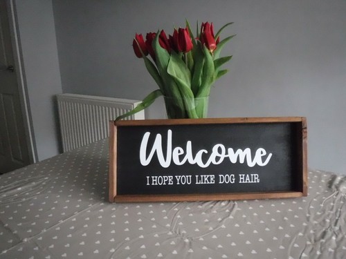 Welcome hope you like dog - you,