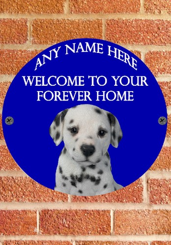 Pnc687 dalmatian puppy dog - pnc687,