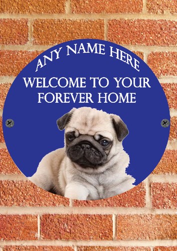 Pnc754 pug puppy dog welcome - pnc754,